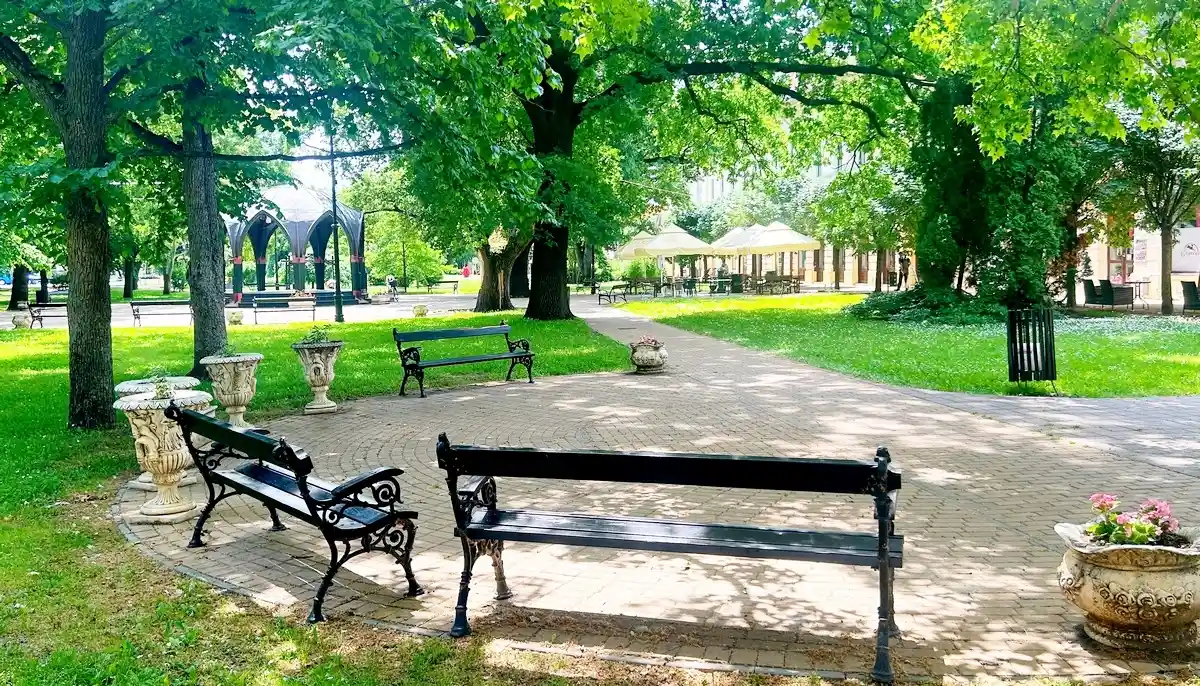 Szarvasi park padokkal, fákkal