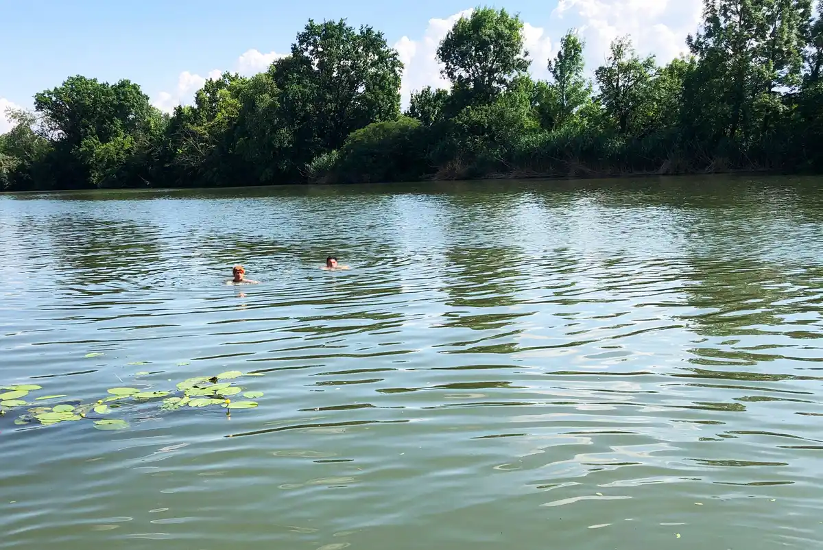 két ember úszik a Holt-Körösben